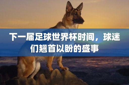 下一届足球世界杯时间，球迷们翘首以盼的盛事