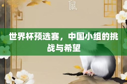 世界杯预选赛，中国小组的挑战与希望