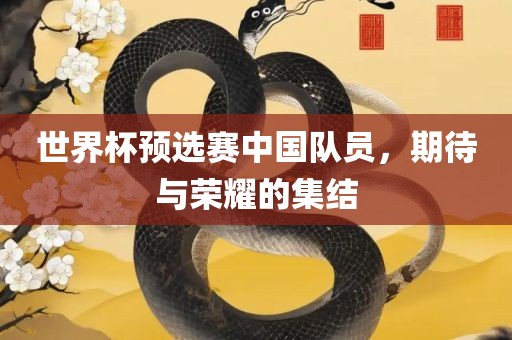 世界杯预选赛中国队员，期待与荣耀的集结