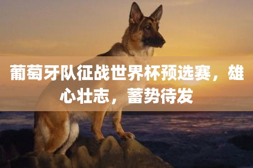 葡萄牙队征战世界杯预选赛，雄心壮志，蓄势待发