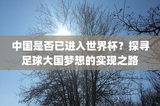 中国是否已进入世界杯？探寻足球大国梦想的实现之路