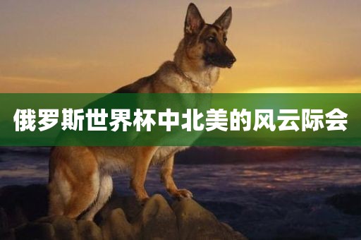 俄罗斯世界杯中北美的风云际会