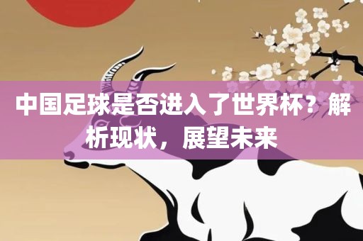 中国足球是否进入了世界杯？解析现状，展望未来