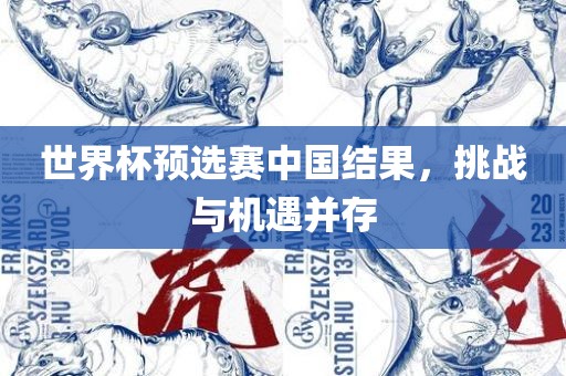 世界杯预选赛中国结果，挑战与机遇并存