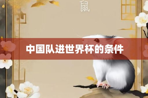 中国队进世界杯的条件