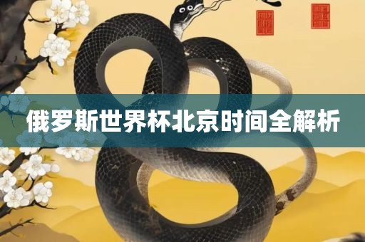 俄罗斯世界杯北京时间全解析