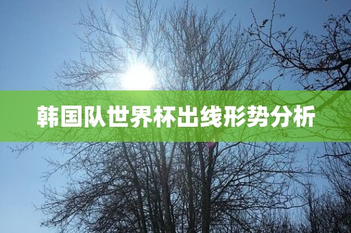 韩国队世界杯出线形势分析
