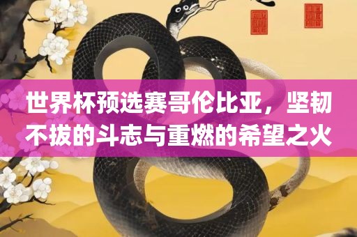 世界杯预选赛哥伦比亚，坚韧不拔的斗志与重燃的希望之火