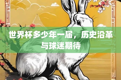 世界杯多少年一届，历史沿革与球迷期待
