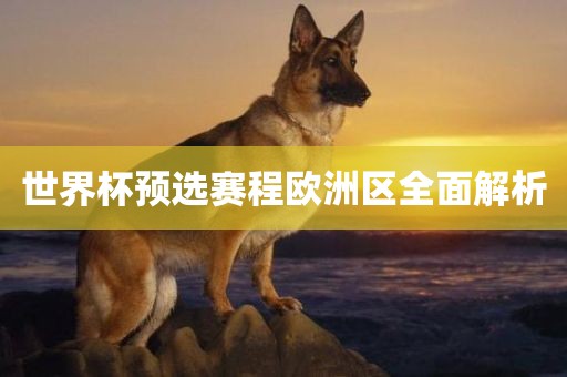 世界杯预选赛程欧洲区全面解析
