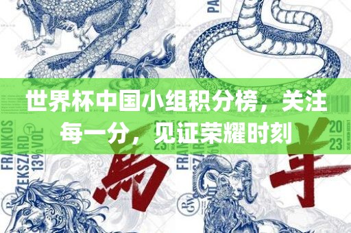 世界杯中国小组积分榜，关注每一分，见证荣耀时刻