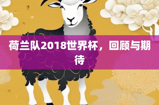 荷兰队2018世界杯，回顾与期待