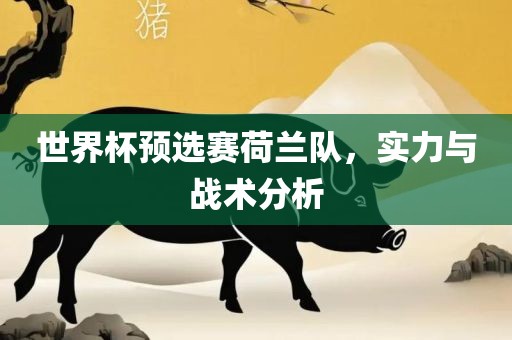 世界杯预选赛荷兰队，实力与战术分析