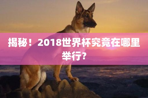 揭秘！2018世界杯究竟在哪里举行？