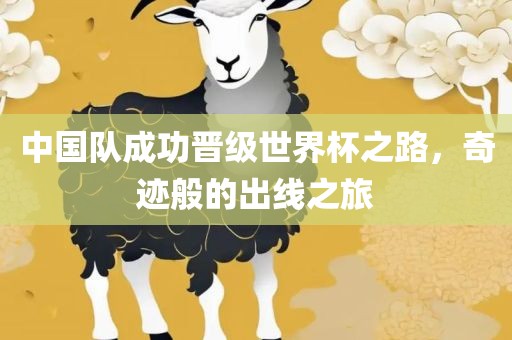 中国队成功晋级世界杯之路，奇迹般的出线之旅