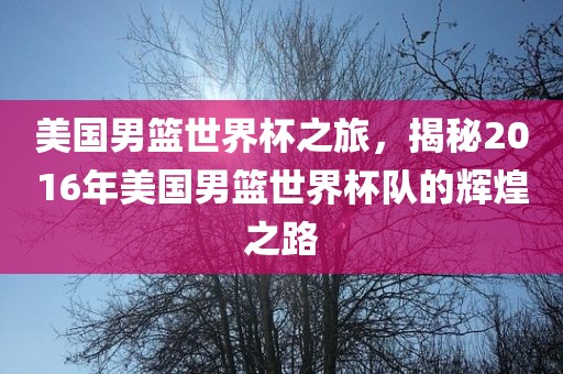 美国男篮世界杯之旅，揭秘2016年美国男篮世界杯队的辉煌之路