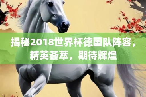 揭秘2018世界杯德国队阵容，精英荟萃，期待辉煌