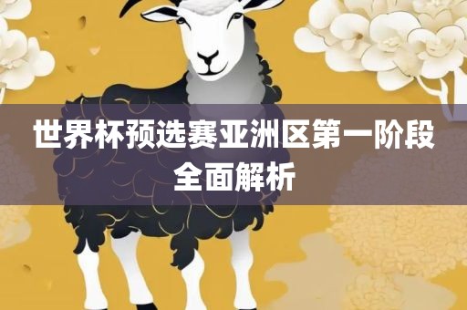 世界杯预选赛亚洲区第一阶段全面解析