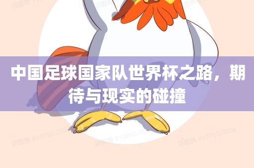 中国足球国家队世界杯之路，期待与现实的碰撞