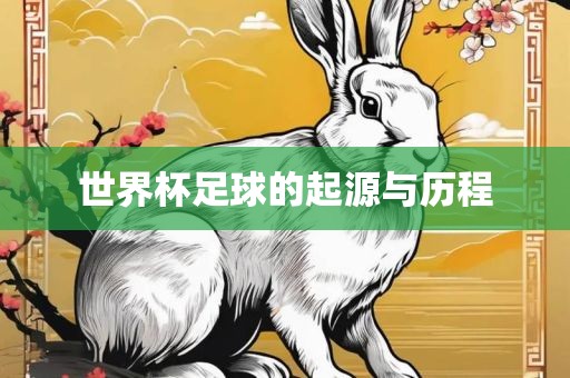 世界杯足球的起源与历程
