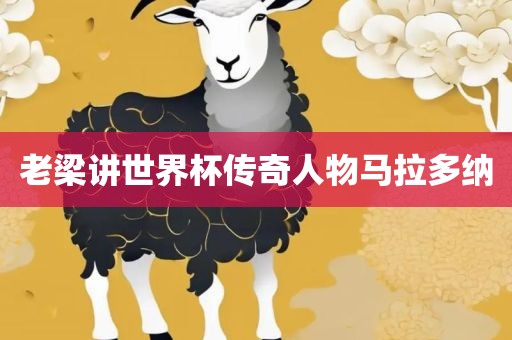 老梁讲世界杯传奇人物马拉多纳