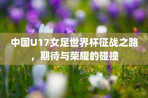 中国U17女足世界杯征战之路，期待与荣耀的碰撞