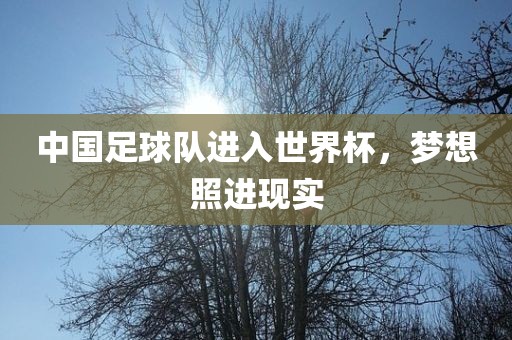 中国足球队进入世界杯，梦想照进现实