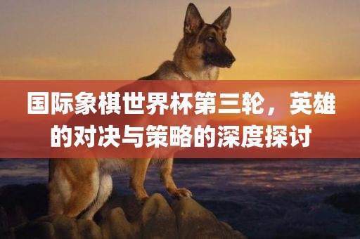 国际象棋世界杯第三轮，英雄的对决与策略的深度探讨