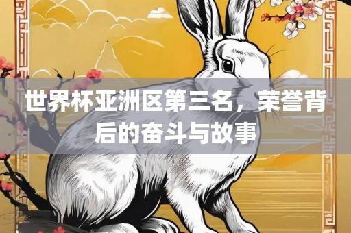 世界杯亚洲区第三名，荣誉背后的奋斗与故事