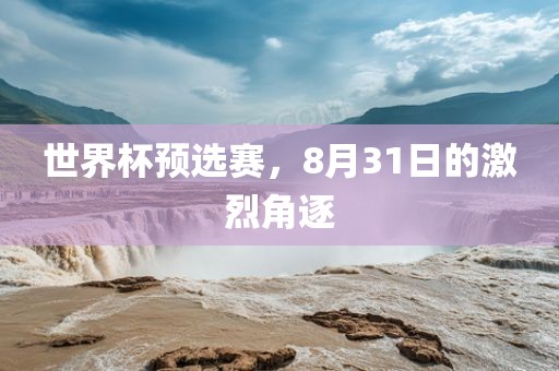 世界杯预选赛，8月31日的激烈角逐