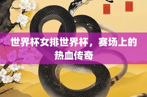 世界杯女排世界杯，赛场上的热血传奇