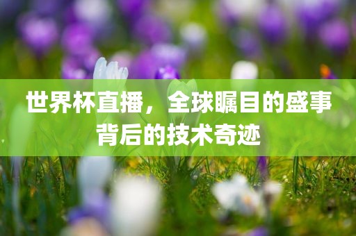世界杯直播，全球瞩目的盛事背后的技术奇迹