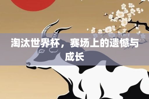 淘汰世界杯，赛场上的遗憾与成长