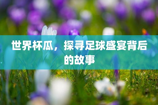 世界杯瓜，探寻足球盛宴背后的故事