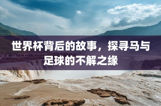 世界杯背后的故事，探寻马与足球的不解之缘