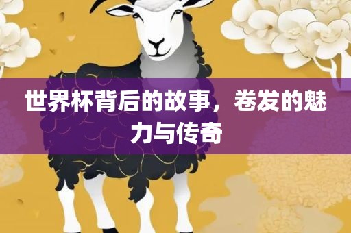 世界杯背后的故事，卷发的魅力与传奇