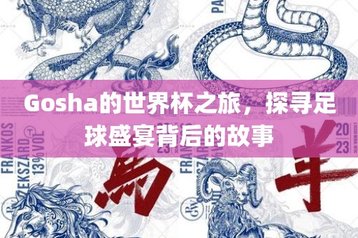 Gosha的世界杯之旅，探寻足球盛宴背后的故事