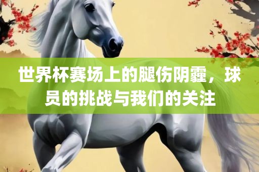 世界杯赛场上的腿伤阴霾，球员的挑战与我们的关注