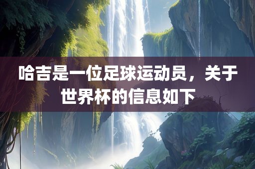哈吉是一位足球运动员，关于世界杯的信息如下