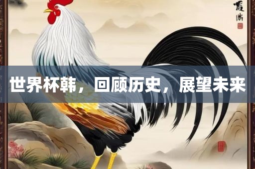 世界杯韩，回顾历史，展望未来