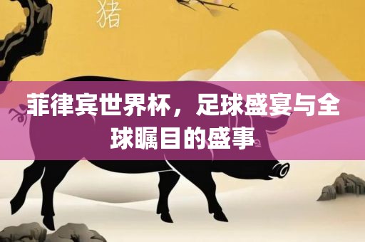 菲律宾世界杯，足球盛宴与全球瞩目的盛事