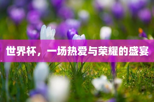 世界杯，一场热爱与荣耀的盛宴