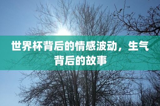 世界杯背后的情感波动，生气背后的故事