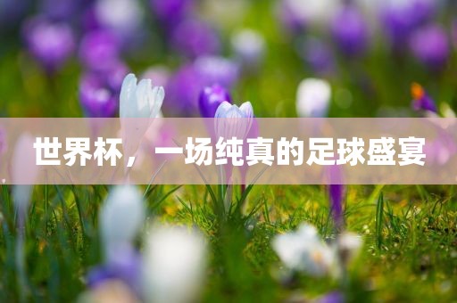 世界杯，一场纯真的足球盛宴