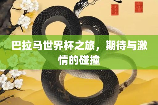 巴拉马世界杯之旅，期待与激情的碰撞