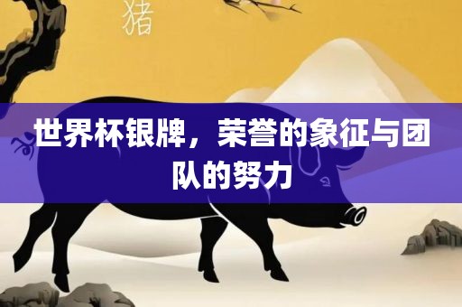 世界杯银牌，荣誉的象征与团队的努力