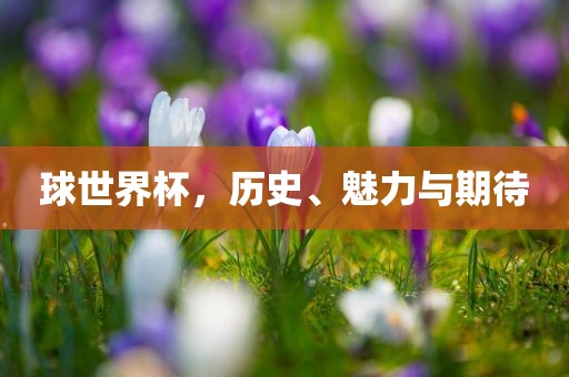 球世界杯，历史、魅力与期待