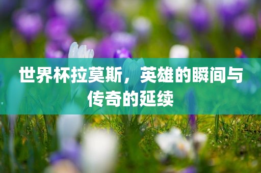 世界杯拉莫斯，英雄的瞬间与传奇的延续