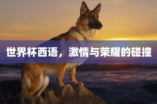 世界杯西语，激情与荣耀的碰撞