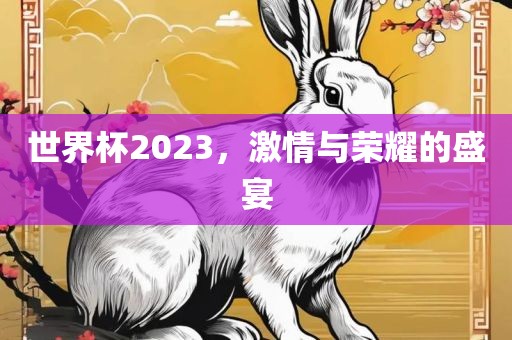 世界杯2023，激情与荣耀的盛宴